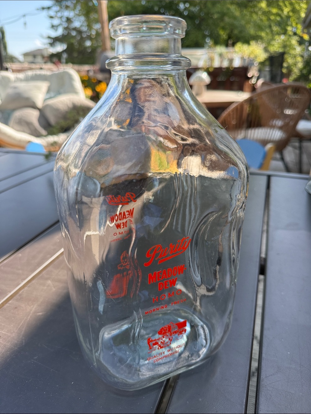 1950s Vintage Purity Meadow Dew Glass Milk Jug Gallon Bottle Pyro Label